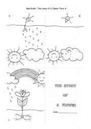 English Worksheet: Mini book:The story of a flower