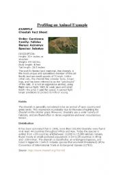 English worksheet: Animal Profile