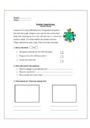 English Worksheet: Animals homes: Reading Comperhension