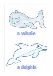 English Worksheet: Sea animals 1