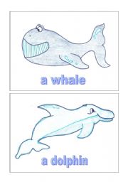 English worksheet: Sea animals 1