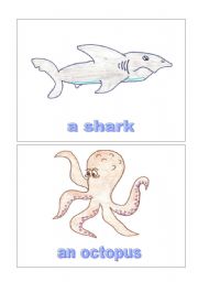 English Worksheet: Sea animals 2