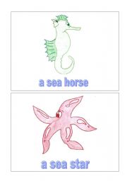 English Worksheet: Sea animals 3