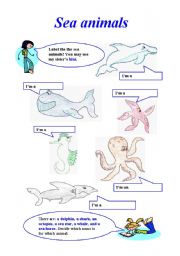 English Worksheet: Sea animals