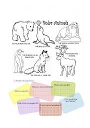 English worksheet: polar animals