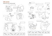 English Worksheet: Wild animals