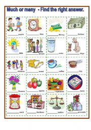 English Worksheet: Many or Much