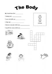 English worksheet: The Body