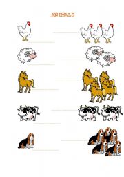 English Worksheet: Animals