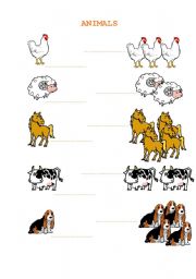 English worksheet: Animals