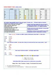 English worksheet: simple present tense