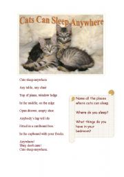 Cats Can Sleep Anywhere- A Poem - ESL worksheet by libertybelle