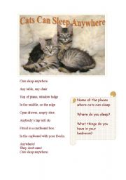 English Worksheet: Cats Can Sleep Anywhere- A Poem