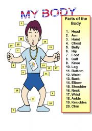 English Worksheet: my body