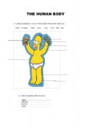 English worksheet: the body