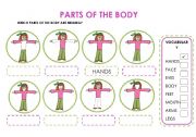 English Worksheet: PARTS OF THE BODY