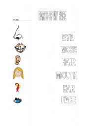 English worksheet: Parts of my face