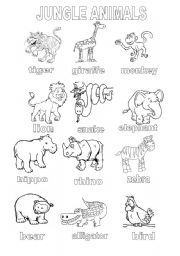 Jungle animals - English/Spanish Diagram