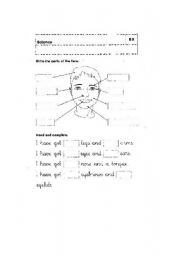 English Worksheet: PARTS OF THE FACE