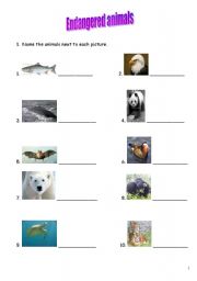 English worksheet: endangered animals+answer key