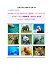 English Worksheet: Endangered animals 