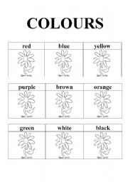 English Worksheet: colours