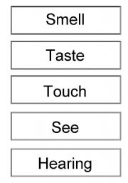 English worksheet: Senses