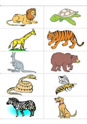 Animals Flashcards