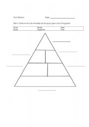 English Worksheet: Food Pyramid