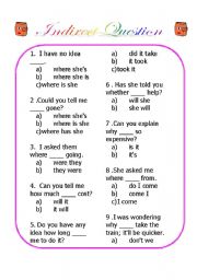 English Worksheet: Indirect Question