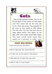 English Worksheet: Reading Comprehension 