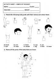 English Worksheet: Body parts