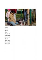 English Worksheet: Answering Information Questions Part 1