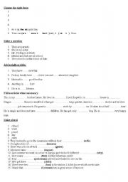 English Worksheet: Articles and plural