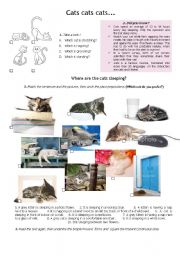 English Worksheet: Cats, cats, cats...