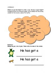 English worksheet: ANIMALS