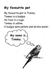 English Worksheet: My favourite pet