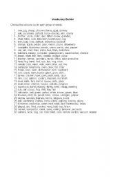 English Worksheet: Vocabulary builder
