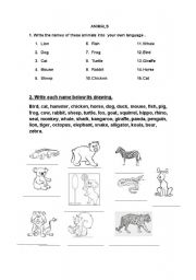 English worksheet: Animalsnames and descrptions
