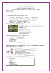 English worksheet: test for elementary students