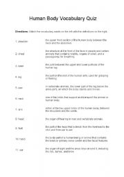 English worksheet: Human Body Quiz