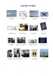 English Worksheet: AIRPORT PICTURY DICTIONARY AND FIELD TEST