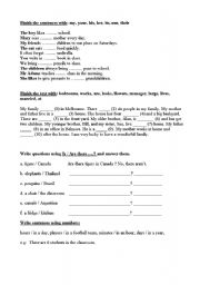 English worksheet: Possesive pronouns + there is / there are revision