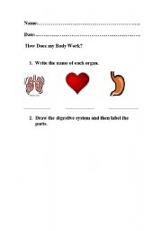 English worksheet: How Does my Body Work?