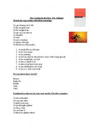 English Worksheet: The Catcher in the Rye- Chapter 2