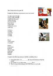 English Worksheet: The Catcher in the Rye- Chapter 3
