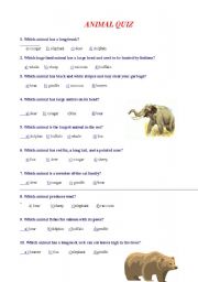 English Worksheet: Animal Quiz