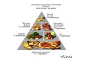 Food Pyramid