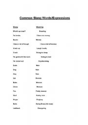 English worksheet: Common English Slang words and expressions