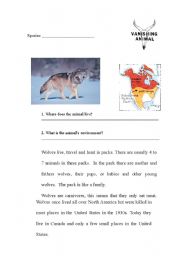 English Worksheet: Wolves - Endangered Species
